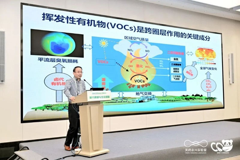 邵敏.jpg