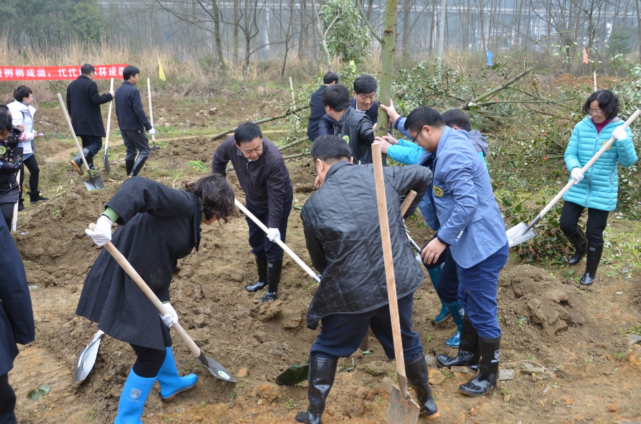 代表们参加现场植树活动