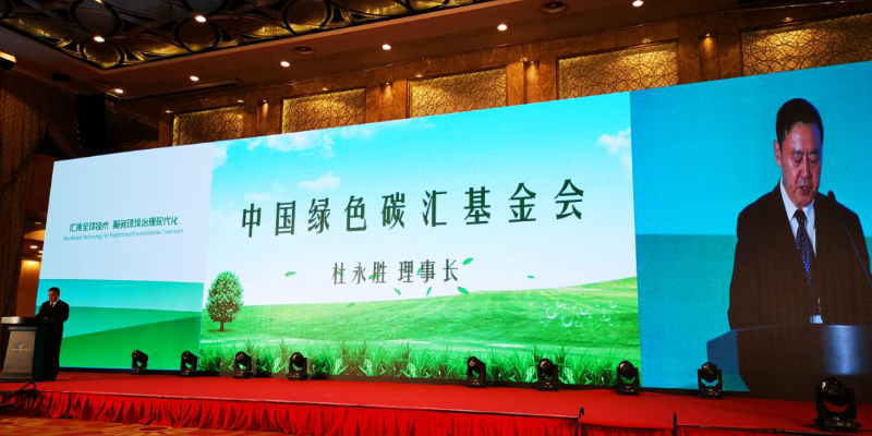 杜永胜理事长致辞并宣读 《碳中和报告书》