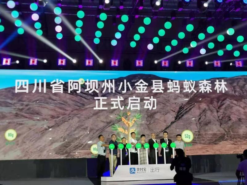 小金县蚂蚁森林启动仪式