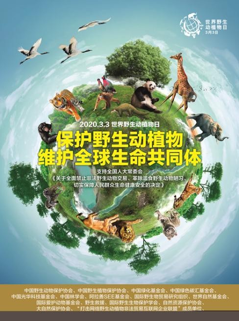 保护野生动植物，维护全球生命共同体