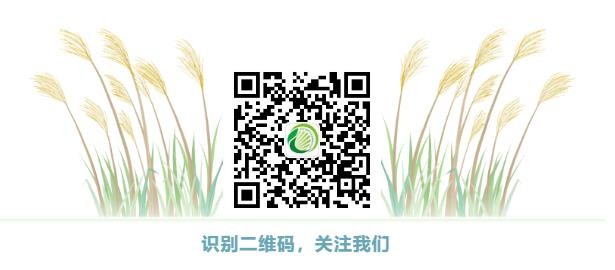 应对气候变化林业草原在行动