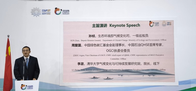 中国角周爱国