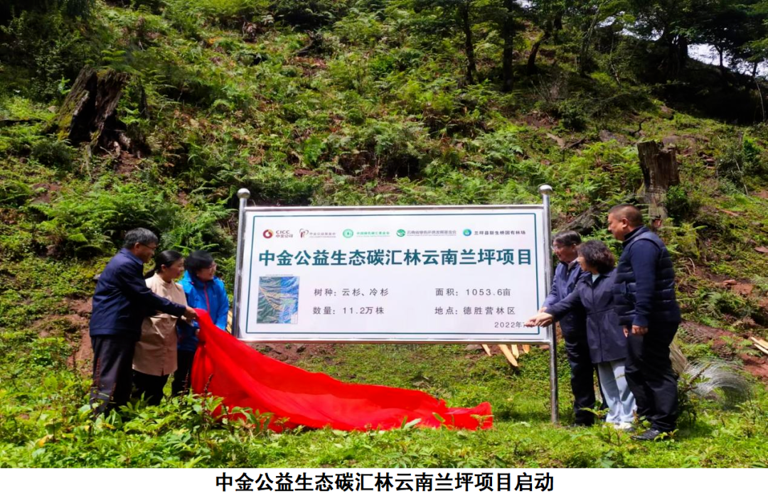 发挥公益平台优势 助力国家“双碳”战略——中国绿色碳汇基金会2022年度盘点