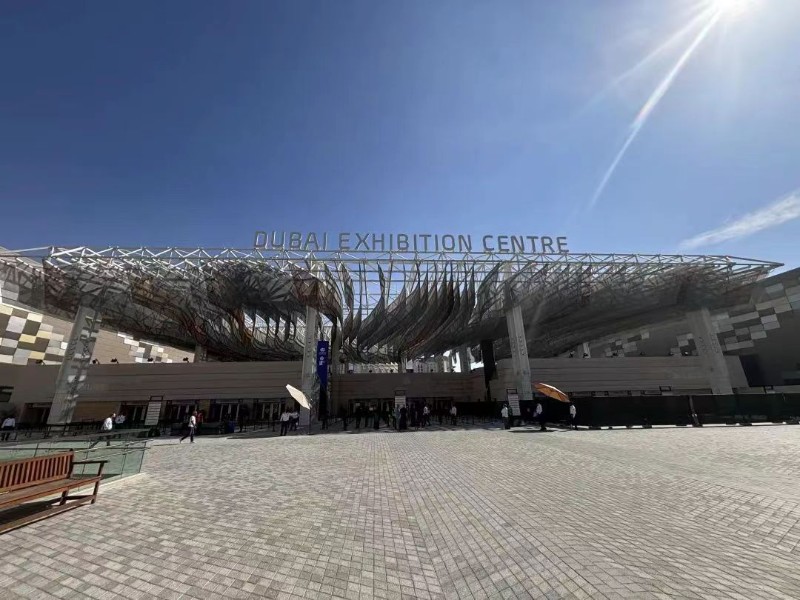 COP28丨“生物多样性保护与应对气候变化协同机制主题边会” 在COP28中国角成功举办
