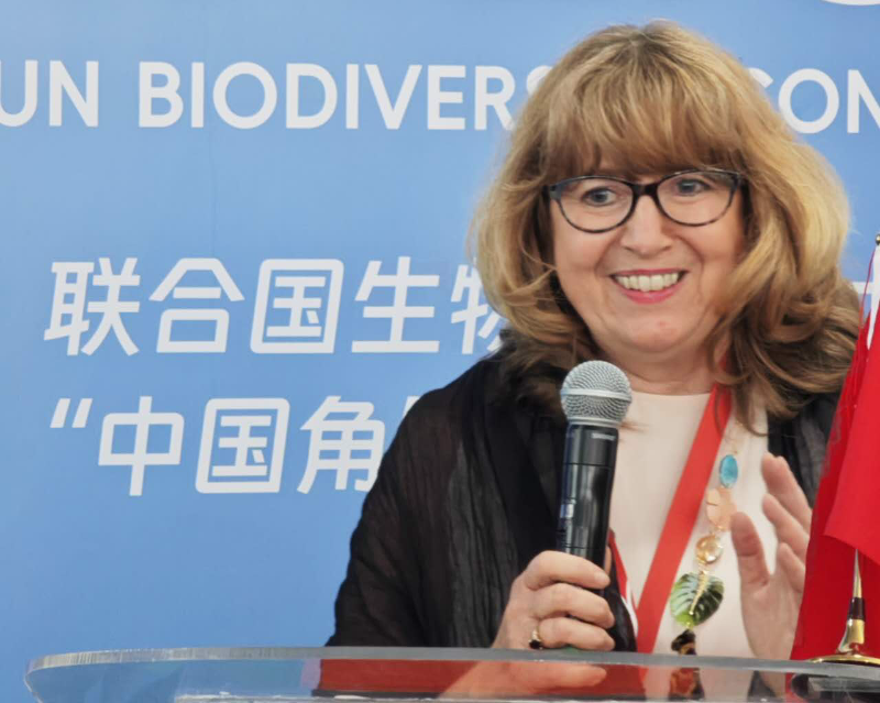 7《公约》秘书处执行秘书  Astrid Schomaker