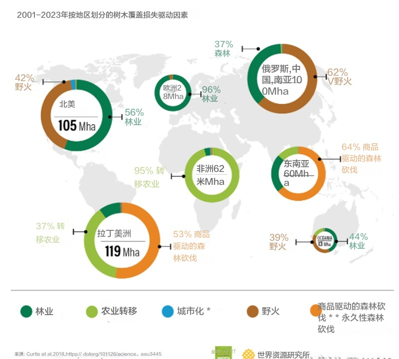 图片7