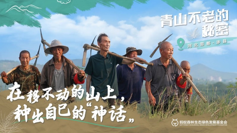 视频预览图