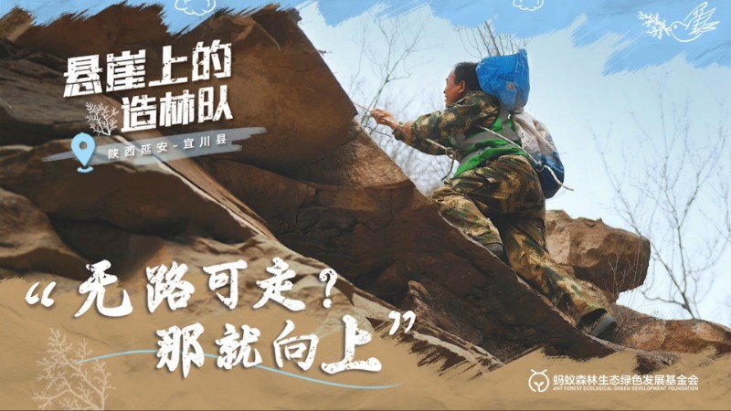 视频预览图