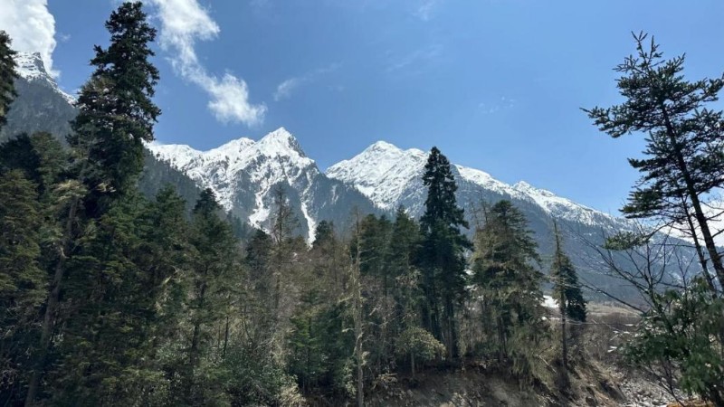 雪山和树林

描述已自动生成