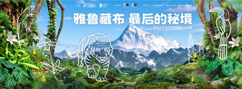 卡通人物

中度可信度描述已自动生成