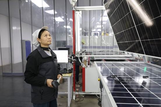 IMG_256