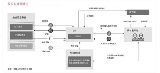 有道截屏翻译结果_1769898697700