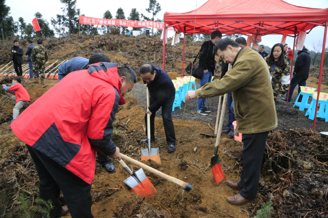 出席启动仪式的代表在毕节碳汇造林基地植树