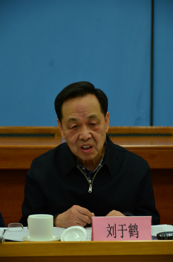 理事长刘于鹤总结讲话