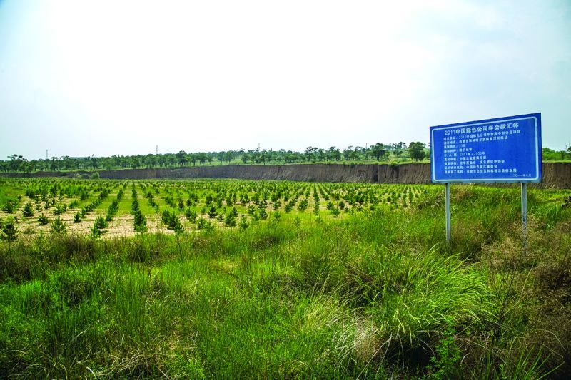 2011年中国绿公司年会碳汇林“老牛碳中和项目(第一期)”实景 2011年中国绿公司年会碳汇林“老牛碳中和项目(第一期)”实景