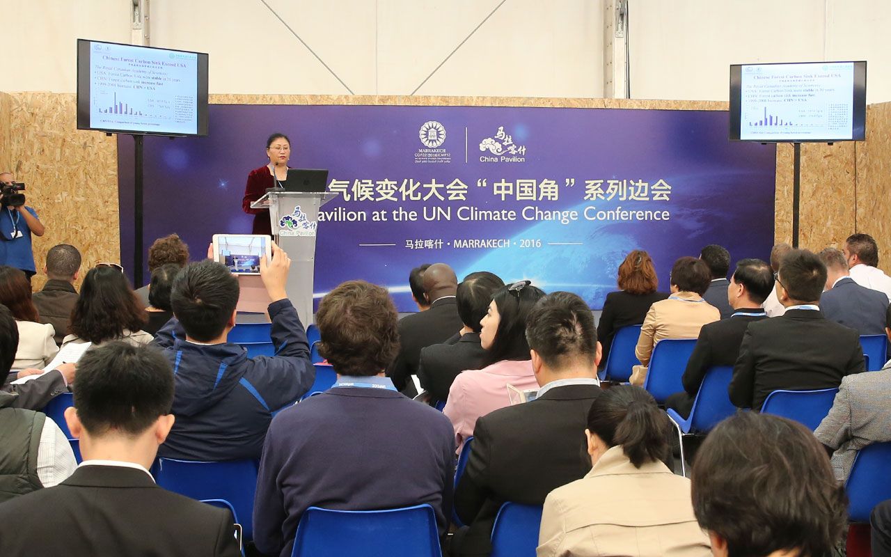 中国绿色碳汇基金会执行副理事长李怒云作专题报告