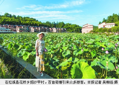 QQ截图20161130072317