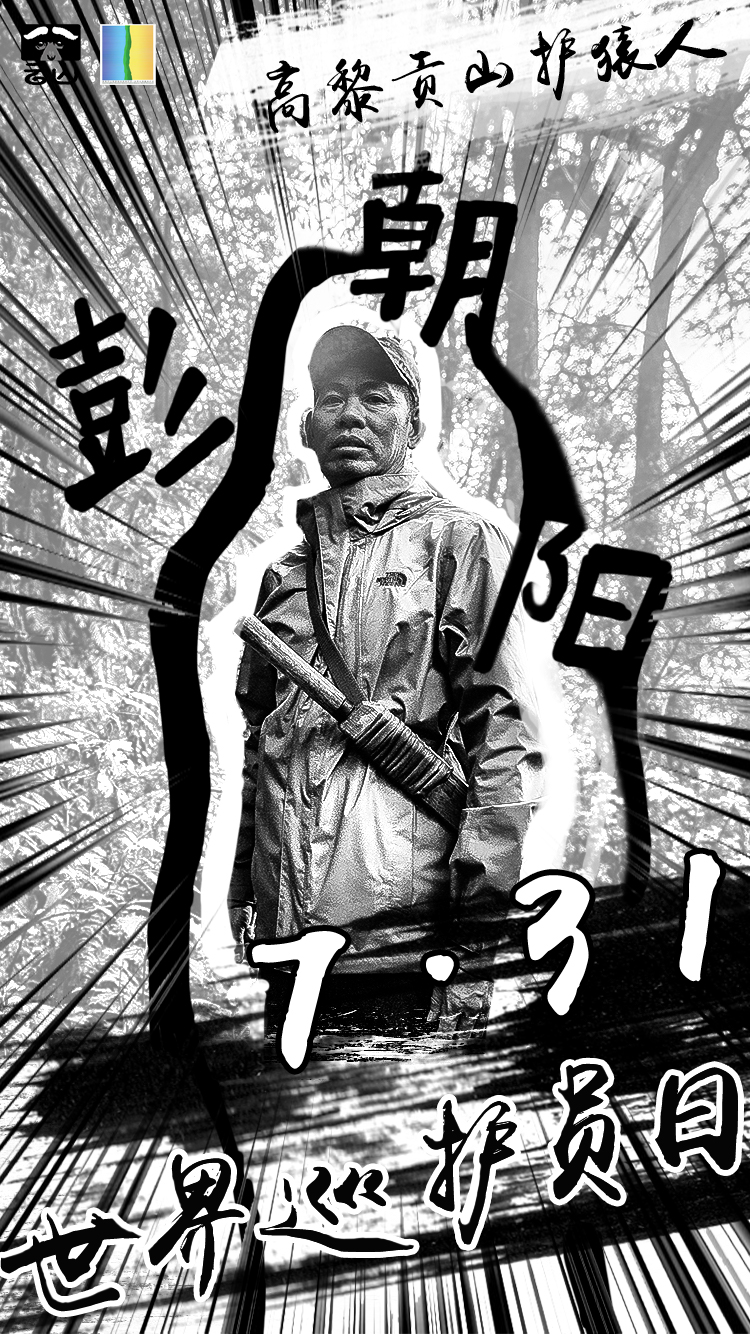 彭朝阳