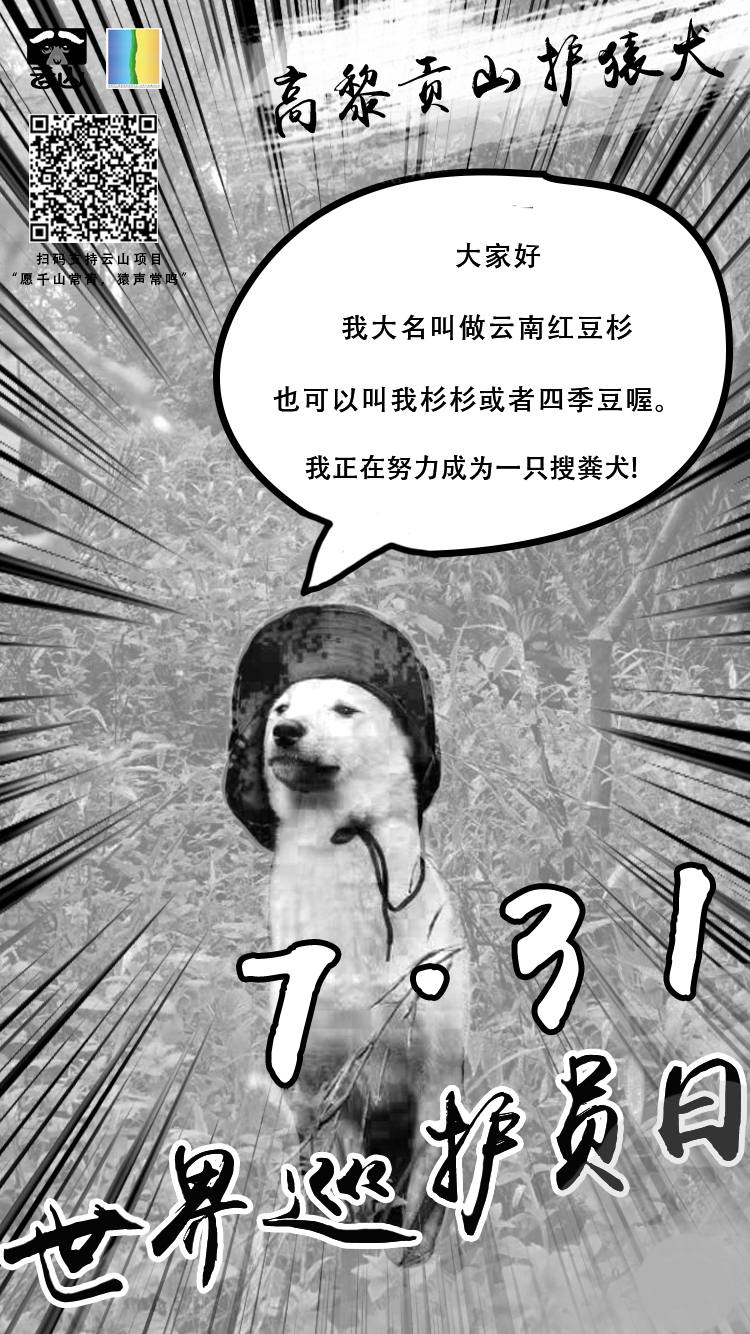 杉杉