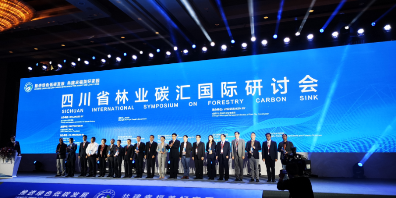 图片5