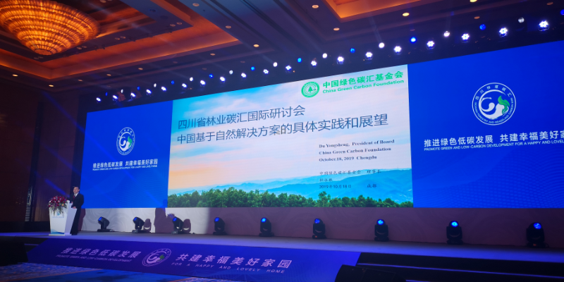 图片8