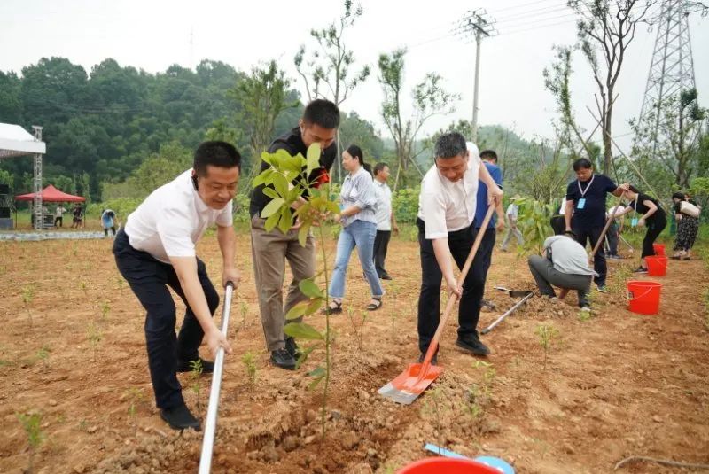 说明: C:\Users\CGCF\Desktop\项目相关\2020年项目\2020年度长三角地区主要领导座谈会碳中和项目\7.2植树活动\4.jpg