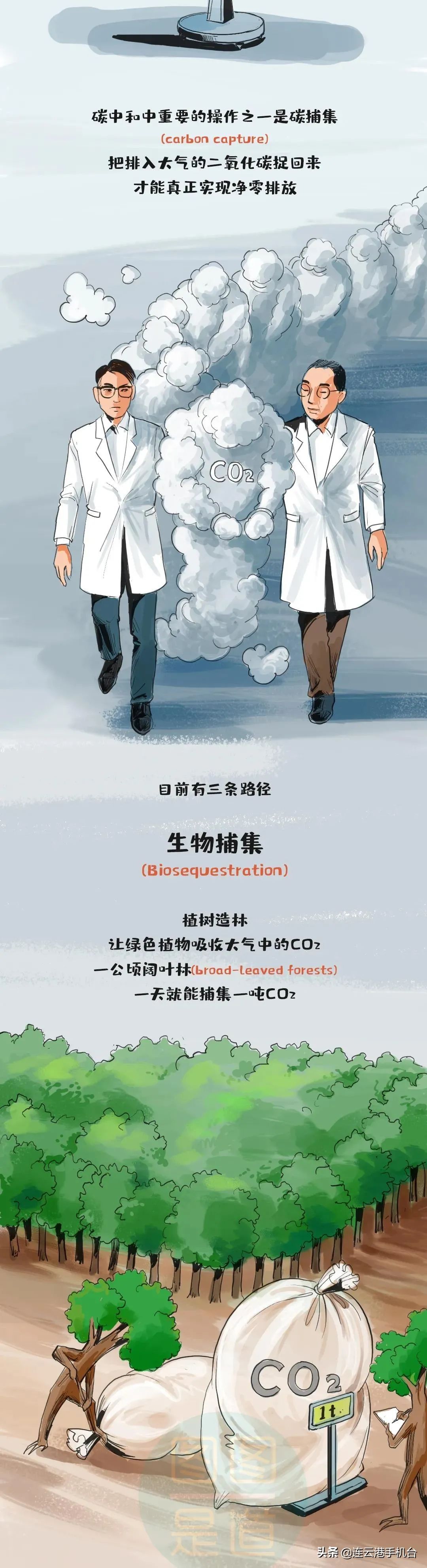 什么叫“碳达峰、碳中和”？一副漫画看明白