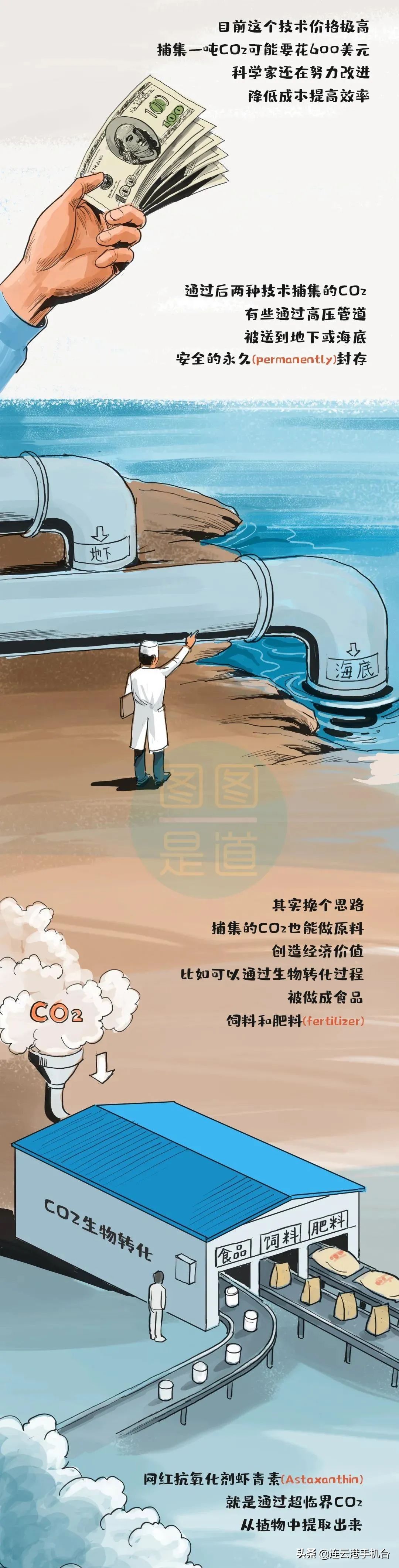 什么叫“碳达峰、碳中和”？一副漫画看明白