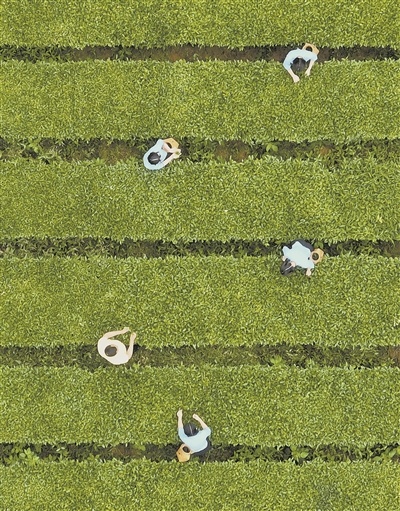 202406050347074426