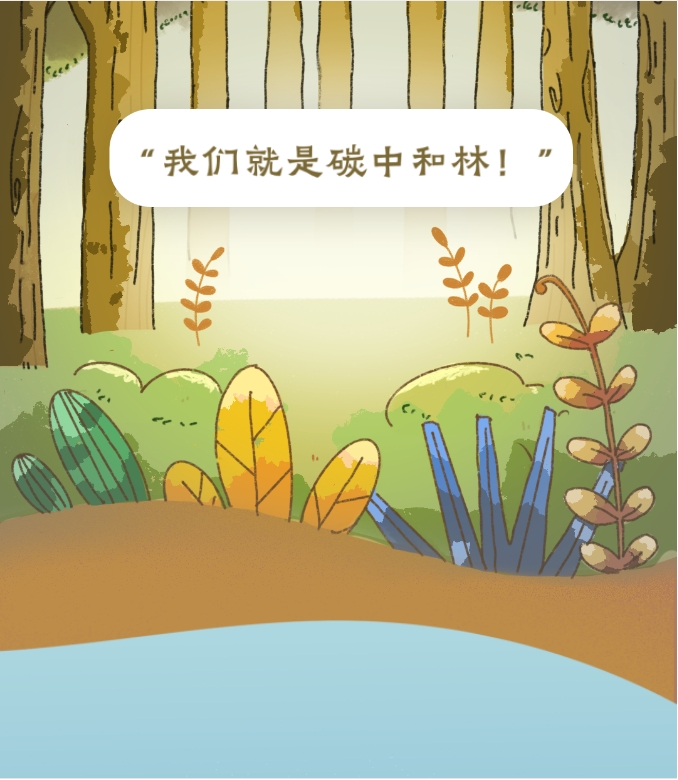 微信截图_20240925102558