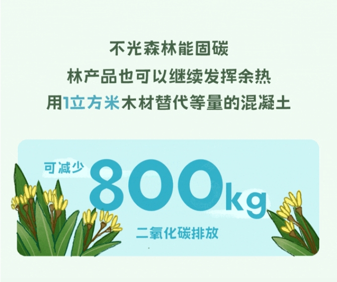 微信截图_20240925103009