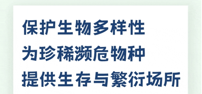 微信截图_20240925103858
