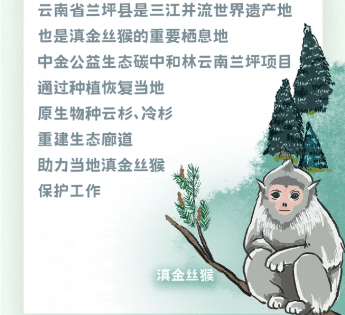 微信截图_20240925104003