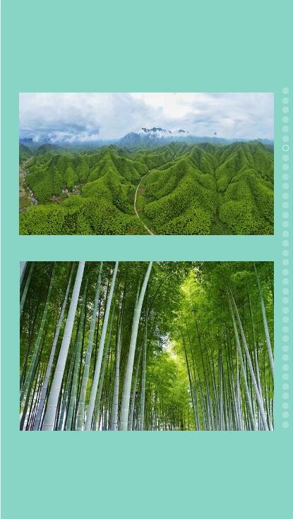 QQ截图20201025152154