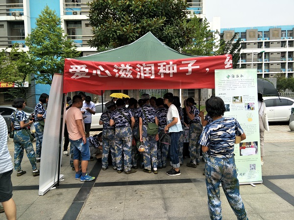 绿植领养助环保,绿意萌发秋亦春3