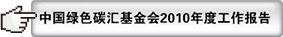 2010工作报告
