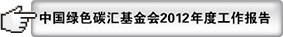 2012工作报告