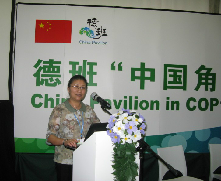 碳汇基金会秘书长李怒云出席南非德班气候大会并参加“中国角”活动,作题为“中国林业碳汇理论与实践”报告