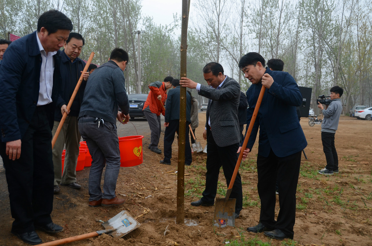 启动仪式现场植树活动 启动仪式现场植树活动