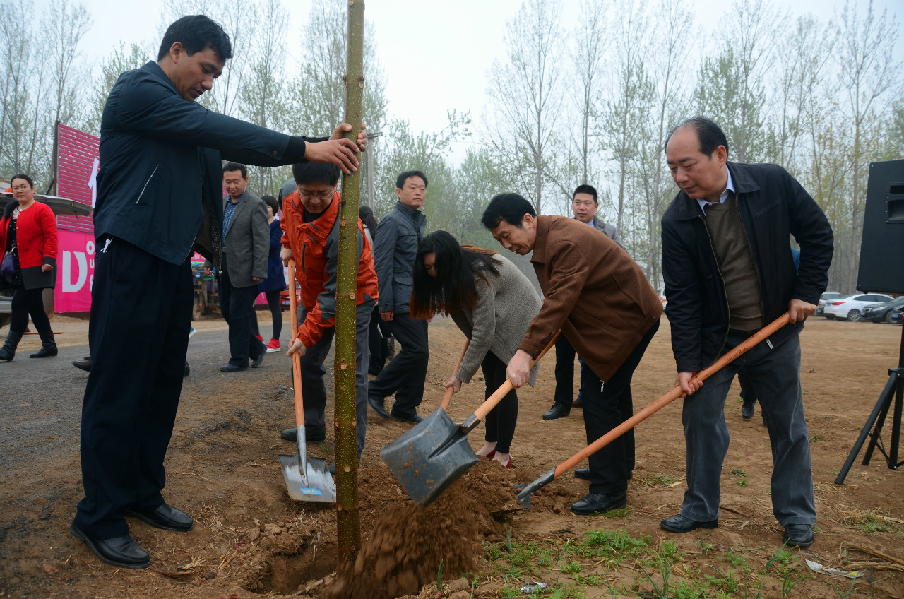 启动仪式现场植树活动 启动仪式现场植树活动