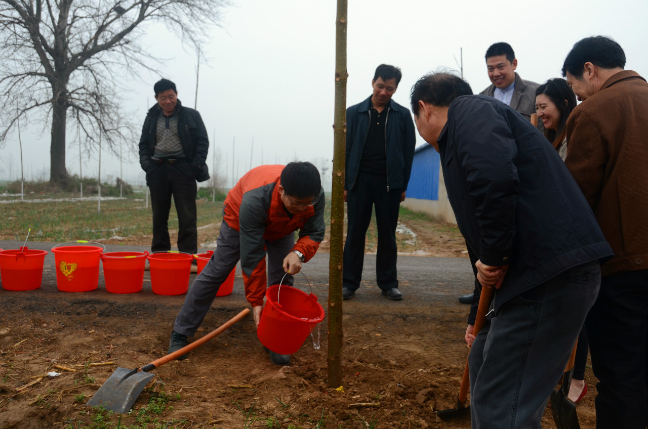 启动仪式现场植树活动 启动仪式现场植树活动