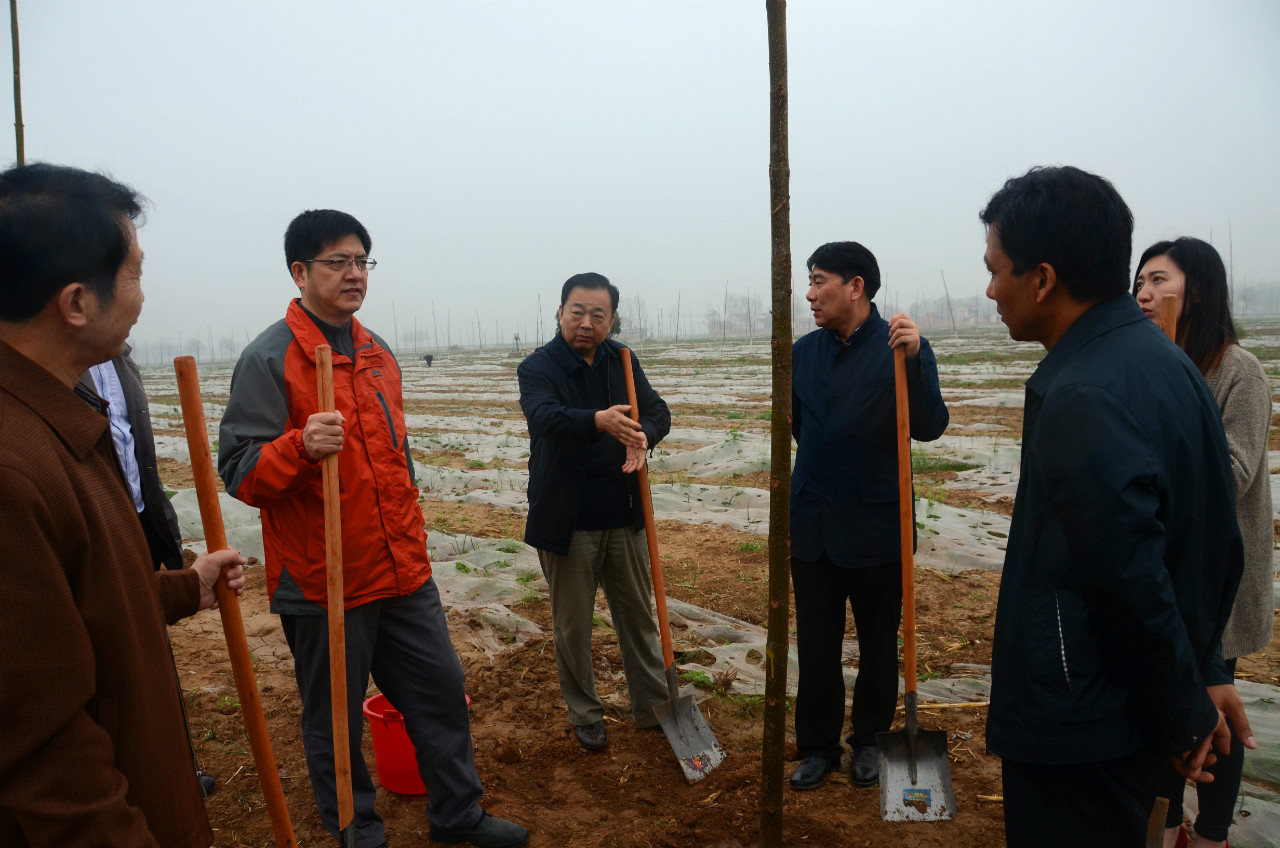 启动仪式现场植树活动