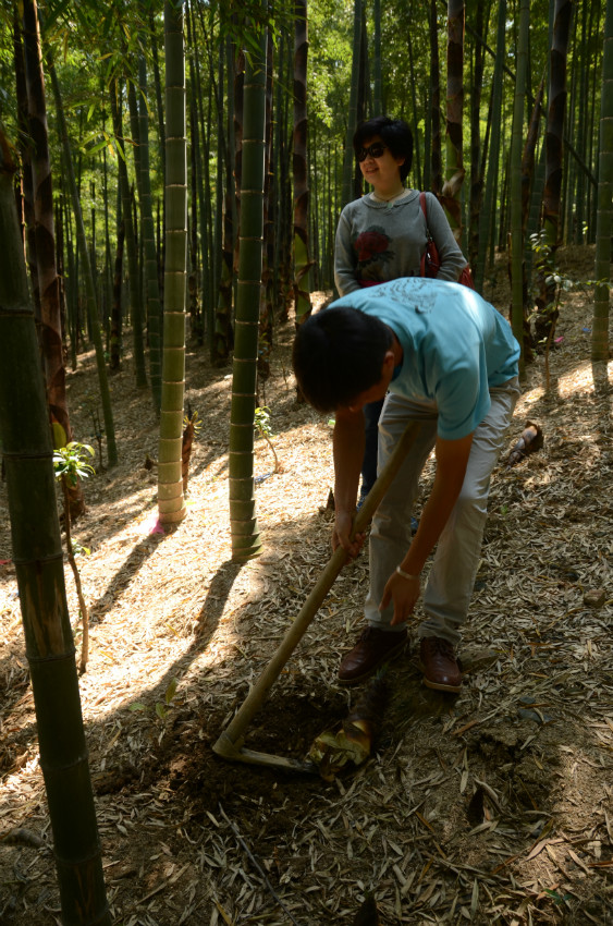 植树活动现场（2）