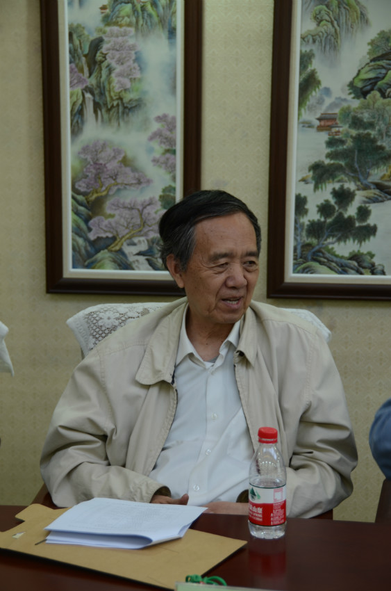 中国农科院环发所所长林而达教授发言