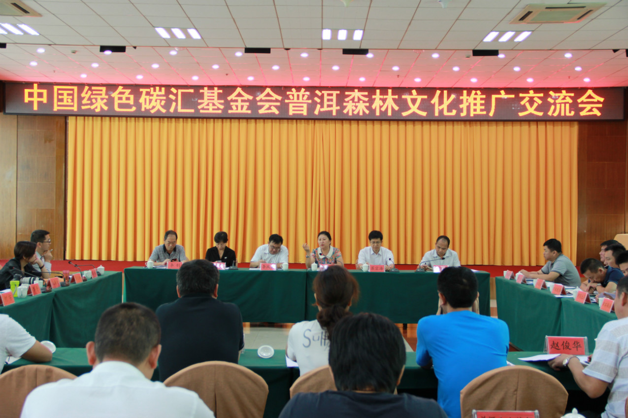 秘书长李怒云做总结性发言