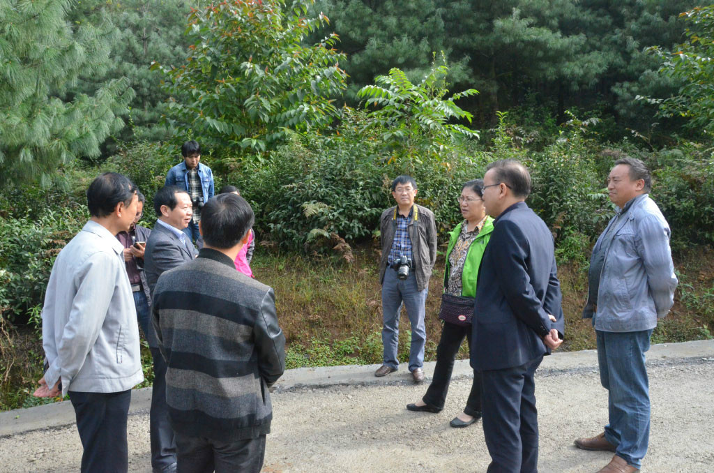 与地方政府领导，市、县林业主管部门和林场负责人商讨国有林场开发林业碳汇项目的可行性